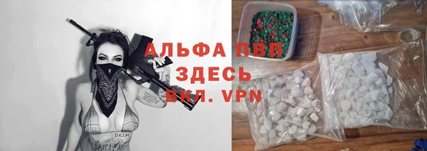 крисы Алексин