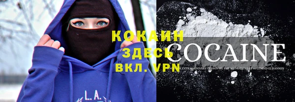 крисы Алексин