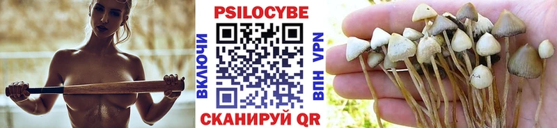 Галлюциногенные грибы мухоморы  купить наркотик  Медынь 
